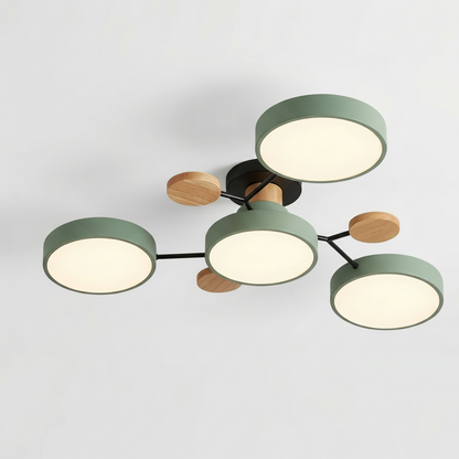 Ceiling light fixture with green and wooden accents
