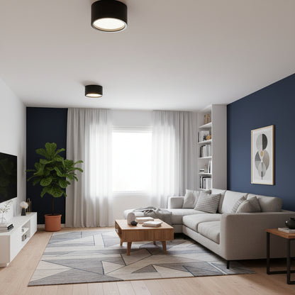 Nordic Style | Flush Mount Ceiling Light with Adjustable Color Temperature | Energy-Efficient Fixture for Modern Spaces 0