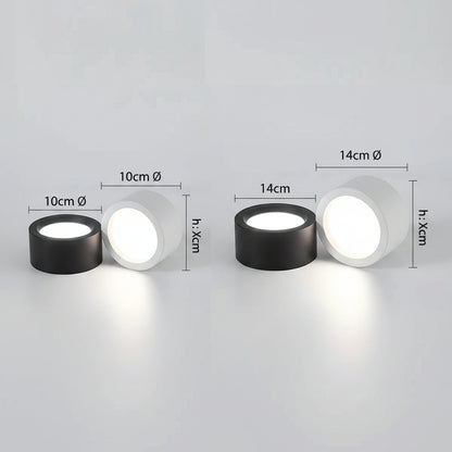 Nordic Style | Flush Mount Ceiling Light with Adjustable Color Temperature | Energy-Efficient Fixture for Modern Spaces 1